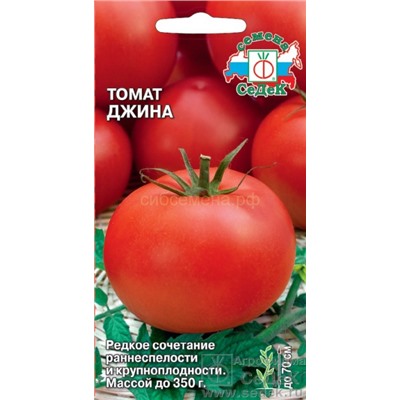 Томат Джина (Седек)