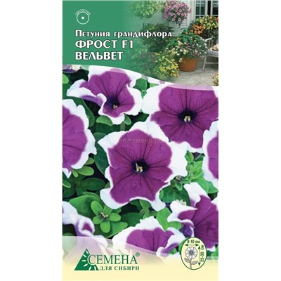 Петуния Фрост Вельвет F1, 10сем (цв.)