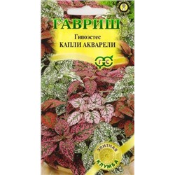 Гипоэстес Капли акаврели (Код: 81807)