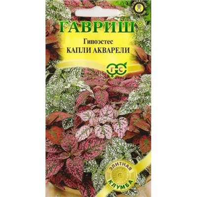 Гипоэстес Капли акаврели (Код: 81807)