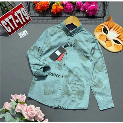 рубашка 2050784-3