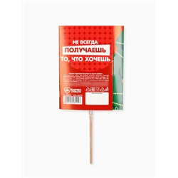 Леденец на палочке «Подарочек под ёлкой», со вкусом клубники, 20 г, 18+