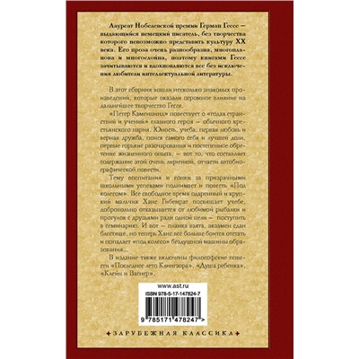 АСТ Герман Гессе "Петер Каменцинд. Под колесом. Последнее лето Клингзора. Душа ребенка. Клейн и Вагнер"