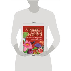 АСТ Пескова И.М. "Красная книга России. Растения Грибы Лишайники"