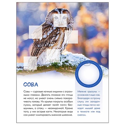 Мир животных с наклейками. Кто живёт в лесу?