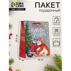 Пакет подарочный новогодний ламинированный «Счастливого нового года», 18×10×22.3 см