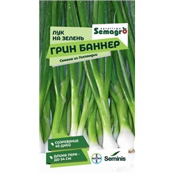 8047N Лук на зелень Грин Баннер 200шт