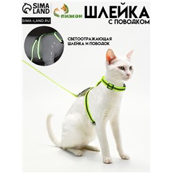 Комплект для кошек светоотражающий, ширина 1 см, шлейка 21-35 см, поводок 120 см, зелёный