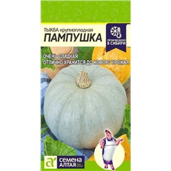 Тыква Пампушка (Алтай)