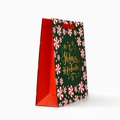 Пакет подарочный новогодний ламинированный «Новогодние чудеса», тиснение, M 30×26×9 см