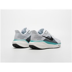 Кроссовки Nike Air Zoom Pegasus 41