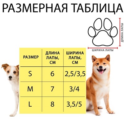 Носки нескользящие, размер L (3.5/5×9 см), набор 4 шт., цыпленок