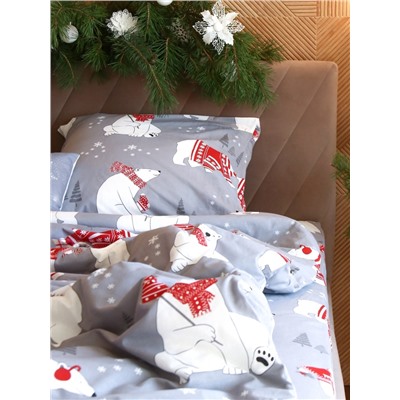 Постельное бельё 2-спальное «Этель. Зимние игры», поплин