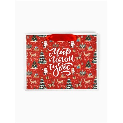 Пакет подарочный новогодний крафтовый, «Мир полон чудес», 23×18×10 см