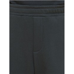 PELICAN Брюки BFPQ3335