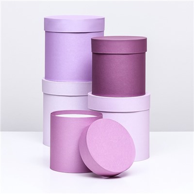 Набор круглых подарочных коробок 5 в 1 «Пудра», 20×20×20‒13.5×13.5×13.5 см