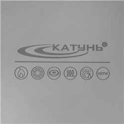 Кастрюля Катунь «Общепит», 16 л, d=40 см, h=15 см, капсульное дно, индукция, нержавеющая сталь