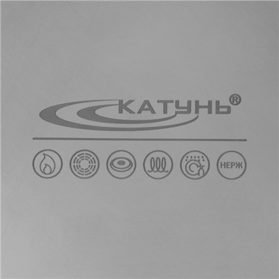 Кастрюля Катунь «Общепит», 16 л, d=40 см, h=15 см, капсульное дно, индукция, нержавеющая сталь