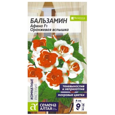 Бальзамин Афина Оранж.Вспышка комн.