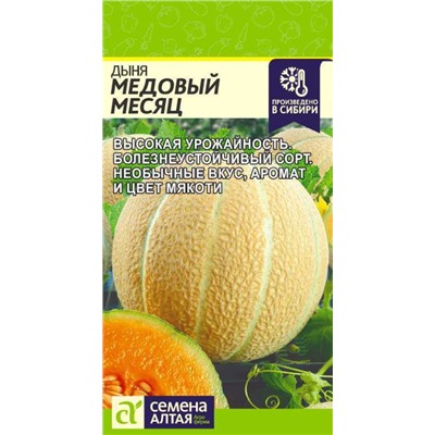 Дыня Медовый Месяц Сем.Алтая
