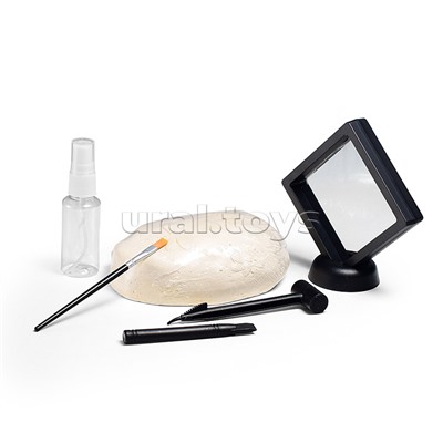 Раскопки "Кладоискатель" в коробке