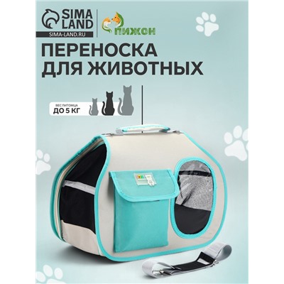 Сумка - переноска. 45×24×33 см с органайзером и окном, белая, мятная