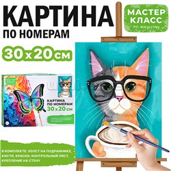 Набор для рисования "Картина по номерам 30х20 см. Котик в очках"