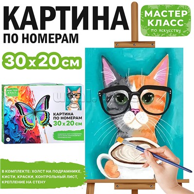 Набор для рисования "Картина по номерам 30х20 см. Котик в очках"