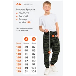 Брюки из футера двухнитки для мальчика Happyfox