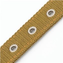 Ошейник брезентовый двухслойный, 58×2.5 см, песочный