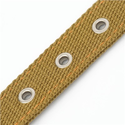 Ошейник брезентовый двухслойный, 58×2.5 см, песочный