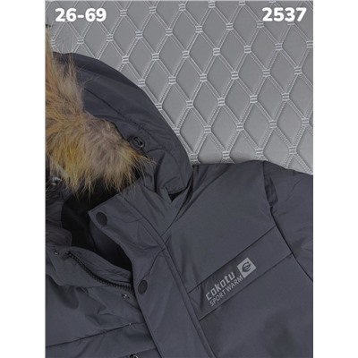 Костюм 2537 серый