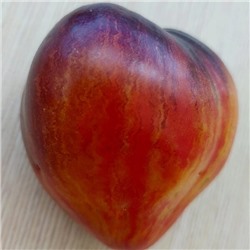 7075Т Томат Сладкая карамель Софии 10шт