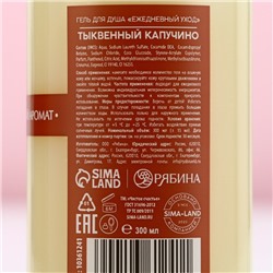 Гель для душа ЧИСТОЕ СЧАСТЬЕ, 300 мл, аромат тыквенный капучино, Новый Год