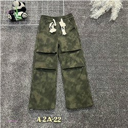 штаны с начесом 2056468-3