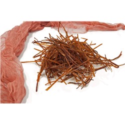 Паутинка из кальмара