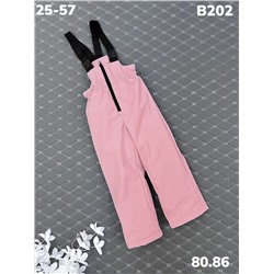 Брюки B202 пудра