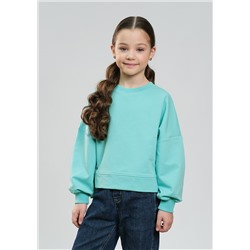 Алексис, Свитшот