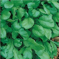 5138D Кресс-салат Дукат 1гр