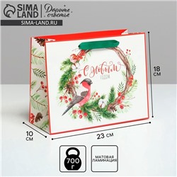 Пакет подарочный новогодний ламинированный «С Новым годом», MS 23×18×10 см