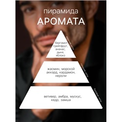 Туалетная вода мужская BANDERAS KING OF SEDUCTION DOSES, 30 мл