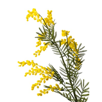 Цветы искусственные «Мимоза», h=65 см, жёлтые