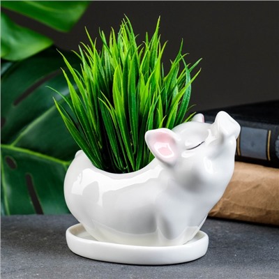Декоративный горшок для цветов «Поросёнок», керамический, 150 мл, 12×6×10 см, с поддоном, белый, Greengo