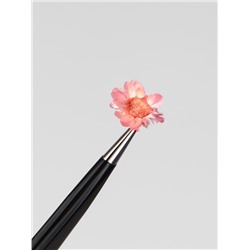 Сухоцветы для декора «Ромашки», объёмные, 12 видов, в футляре, разноцветные