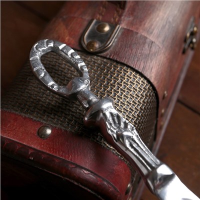 Ложка для обуви «Узел», 26×3.5×2.5 см, алюминий