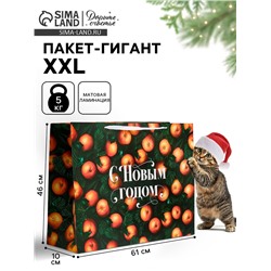Пакет новогодний ламинированный подарочный «С Новым годом», XXL 61×46×20 см