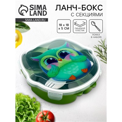 Ланч - бокс «Совушка», 18 х 18 х 5 см