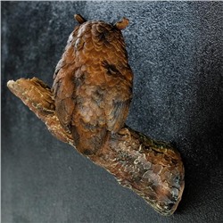 Подвесной декор из полистоуна «Филин на сучке», 20×9×14.5 см