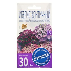 Семена цветов Иберис "Фиолетовый кардинал", 0,2г