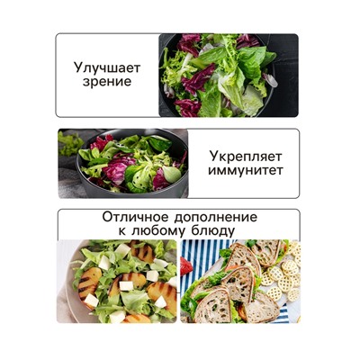 Семена Салат кочанный "Всесезонка", 0,5 г